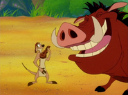 BB Timon & Pumbaa