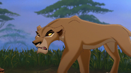 Lion-king2-disneyscreencaps.com-1664