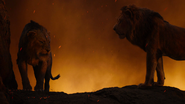 Lionking2019-animationscreencaps.com-12152