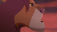 Lion-king2-disneyscreencaps.com-4176