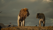 Lionking2019-animationscreencaps.com-10721