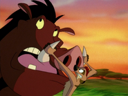 SD Timon & Pumbaa9