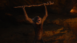 Lionking2019-animationscreencaps.com-11888
