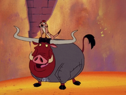 TPIS Timon & Pumbaa21