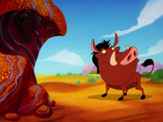 BOITO Pumbaa14