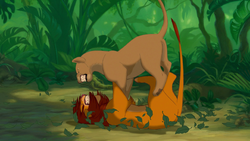 Despite her smaller size, Nala was able to pin Simba on his back.