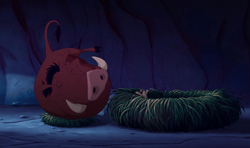 Timon and Pumbaa sleep in their new home.