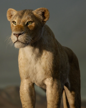 Nala 19 Film The Lion King Wiki Fandom Nala 19 Film The Lion King Wiki Fandom