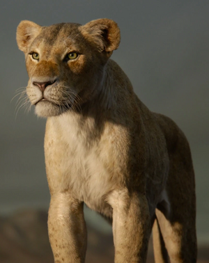 Nala 19 Film The Lion King Wiki Fandom