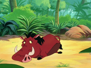 UBAE Pumbaa41