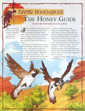 Honey Guide 1