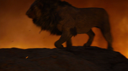 Lionking2019-animationscreencaps.com-12119