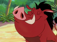 UBAE Pumbaa47