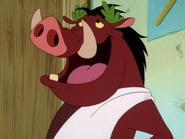 IB Pumbaa21