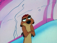 MOM Timon16