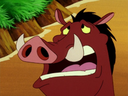 TFTZ Pumbaa13