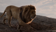 Lionking2019-animationscreencaps.com-276