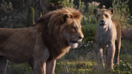 Lionking2019-animationscreencaps.com-9760