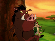 SD Timon & Pumbaa7