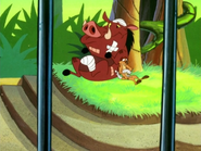 TFTZ Timon & Pumbaa59