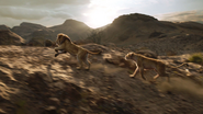 Lionking2019-animationscreencaps.com-10600
