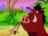 NBT Timon & Pumbaa11