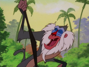 TBT Rafiki4