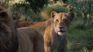 Lionking2019-animationscreencaps.com-9776