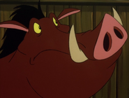 FA Pumbaa5