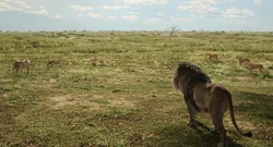 Mufasa-animationscreencaps.com-2395