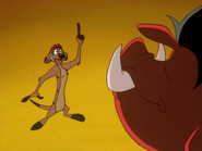 DHTVI Timon & Pumbaa15