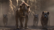 Lionking2019-animationscreencaps.com-5474