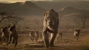 An official TV spot for The Lion King