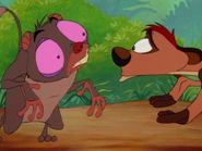 COLT Timon & tarsier3