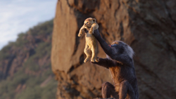 Lionking2019-animationscreencaps