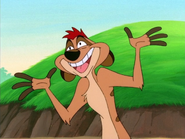 SHO Timon16