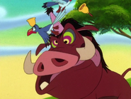 TSIC Pumbaa & Zazu