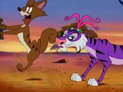 The jackal runs away from the tigress.