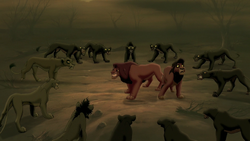 Simba, The Lion King Wiki