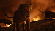 Lionking2019-animationscreencaps.com-11792