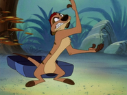 FFFF Timon4