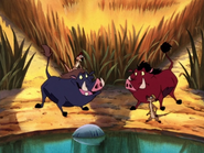 KBMF Timon Pumbaa Monti & Baampu2