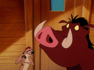 MIL Timon & Pumbaa6