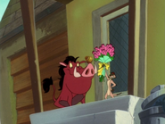 BHB Timon & Pumbaa17