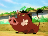 BJG Pumbaa54