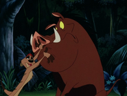 TLST Timon & Pumbaa11