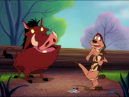 YYY Timon & Pumbaa14