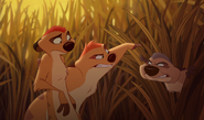 Lionking3-disneyscreencaps.com-774