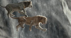 Mufasa-animationscreencaps.com-5977