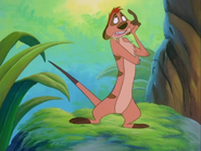 TZ Timon2